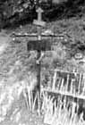 62i.jpg (8343 byte)