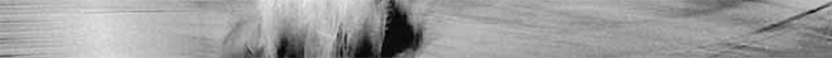 fondo.gif (33737 byte)